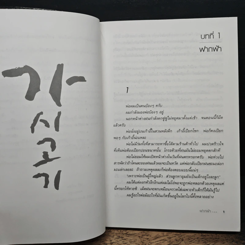 กาซิโกกิ - โจ ชางอิน, แฮจิน คิม รูปที่ 8