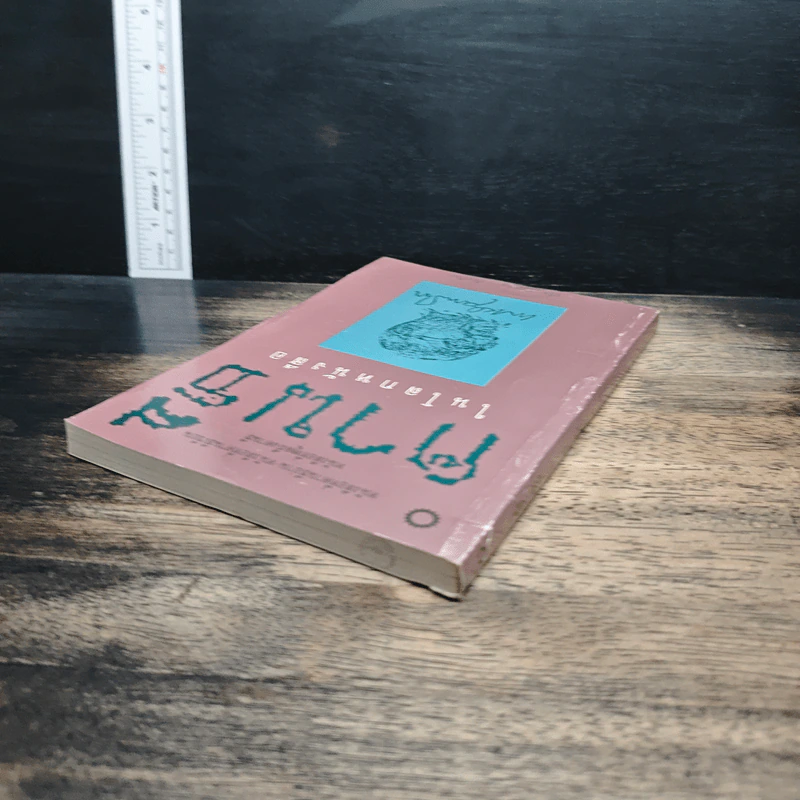 คานธี ในโลกหนังสือ - ปรีชา ช่อปทุมมา รูปที่ 5