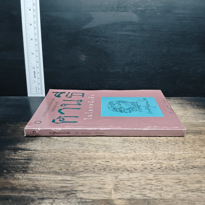 คานธี ในโลกหนังสือ - ปรีชา ช่อปทุมมา รูปที่ 3