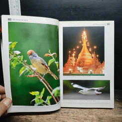หนังสือ 108 คำถามการถ่ายภาพ รูปที่ 8