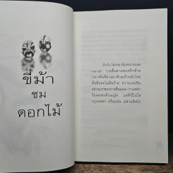 ขี่ม้าชมดอกไม้ - 'รงค์ วงษ์สวรรค์ รูปที่ 8