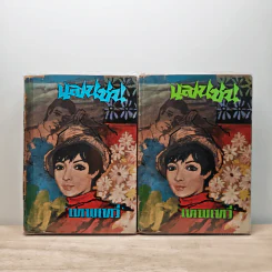 แสนซน 2 เล่มจบ - เทพเทวี