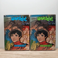 แสนซน 2 เล่มจบ - เทพเทวี