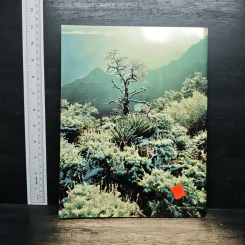 Grand Canyon Visual รูปที่ 2