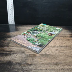 มือใหม่จัดสวนอังกฤษ Easy English Gardens รูปที่ 4