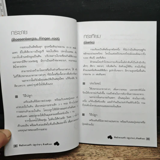 พืชผักสวนครัว ปลูกง่ายๆ ด้วยตัวเอง - ฉัตรไชย โพธิพัฒน์ รูปที่ 7