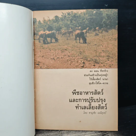 พืชอาหารสัตว์ และการปรับปรุงทำเลเลี้ยงสัตว์ รูปที่ 6