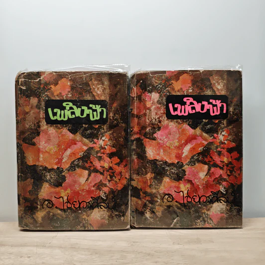 เพลิงฟ้า 2 เล่มจบ - อ.ไชยวรศิลป์ รูปที่ 1
