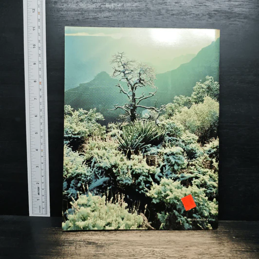 Grand Canyon Visual รูปที่ 2
