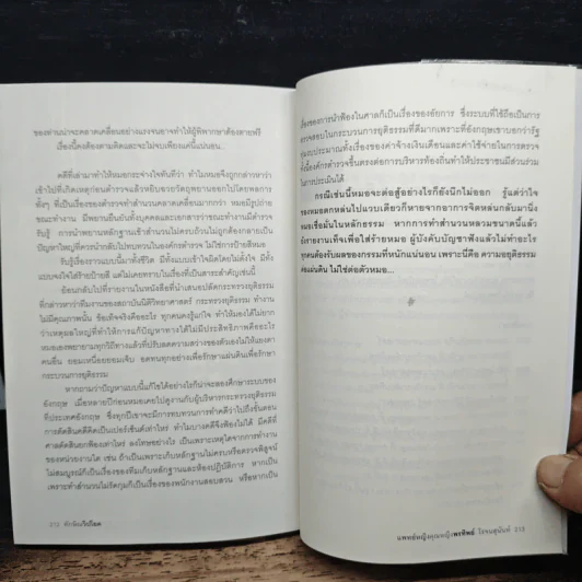 ทักษิณวิปโยค - พ.ญ.คุณหญิง พรทิพย์ โรจนสุนันท์ รูปที่ 9