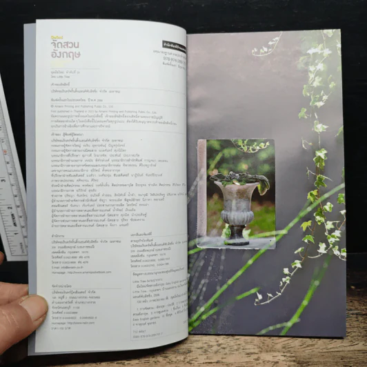 มือใหม่จัดสวนอังกฤษ Easy English Gardens รูปที่ 6