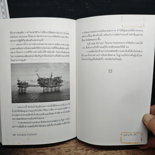 ทุนโลกบุกจีน - รศ. ดร. สมภพ มานะรังสรรค์ รูปที่ 9