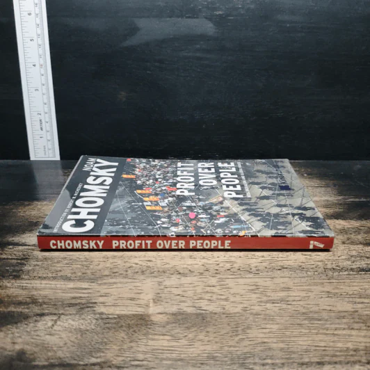 Profit Over People: Neoliberalism & Global Order - Noam Chomsky รูปที่ 3