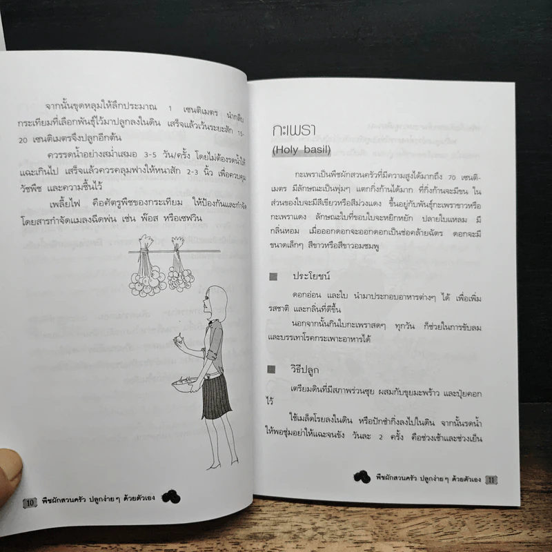 พืชผักสวนครัว ปลูกง่ายๆ ด้วยตัวเอง - ฉัตรไชย โพธิพัฒน์ รูปที่ 8