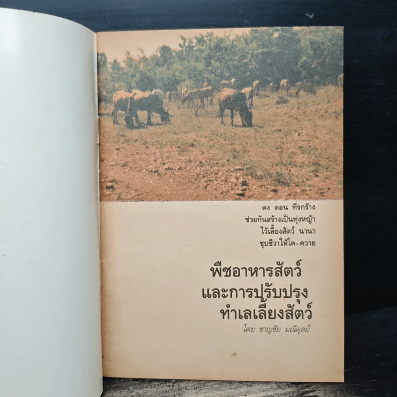 พืชอาหารสัตว์ และการปรับปรุงทำเลเลี้ยงสัตว์ รูปที่ 6