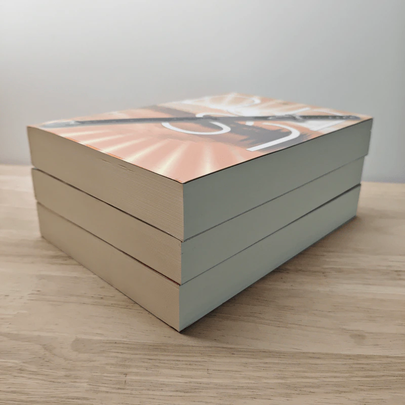 Boxset นวนิยายชุด Rising Sun 3 เล่ม สายเลือดแดนตะวัน, รอยฝันตะวันเดือด, รอยรักหักเหลี่ยมตะวัน - ณารา รูปที่ 4