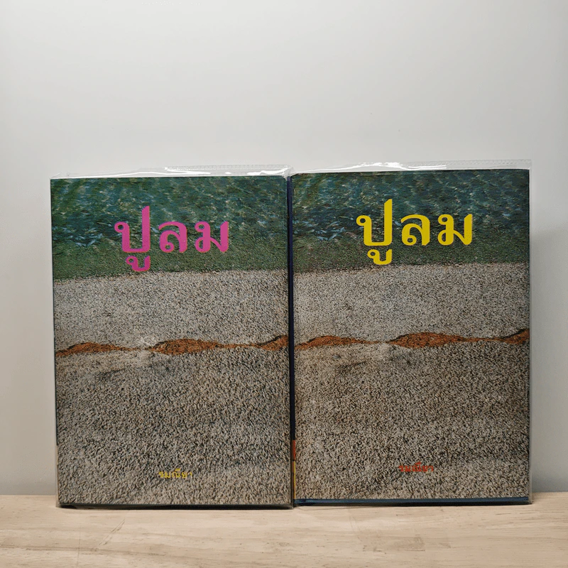ปูลม 2 เล่มจบ - รมณียา รูปที่ 1