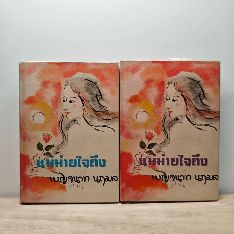 แม่ม่ายใจถึง 2 เล่มจบ - เบญจนาท นฤมล รูปที่ 1