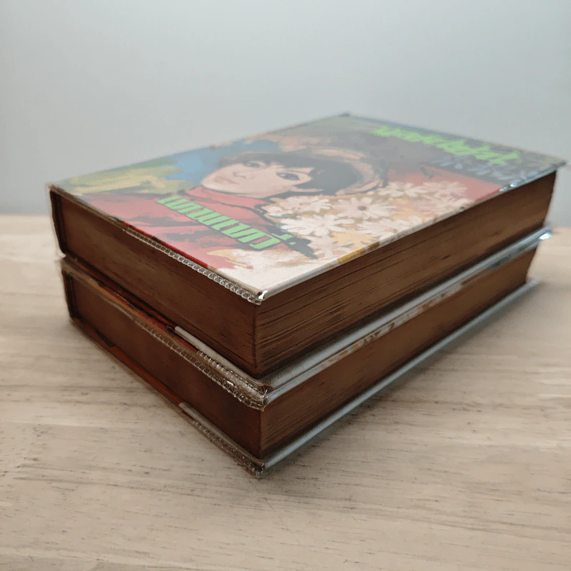 แสนซน 2 เล่มจบ - เทพเทวี รูปที่ 4