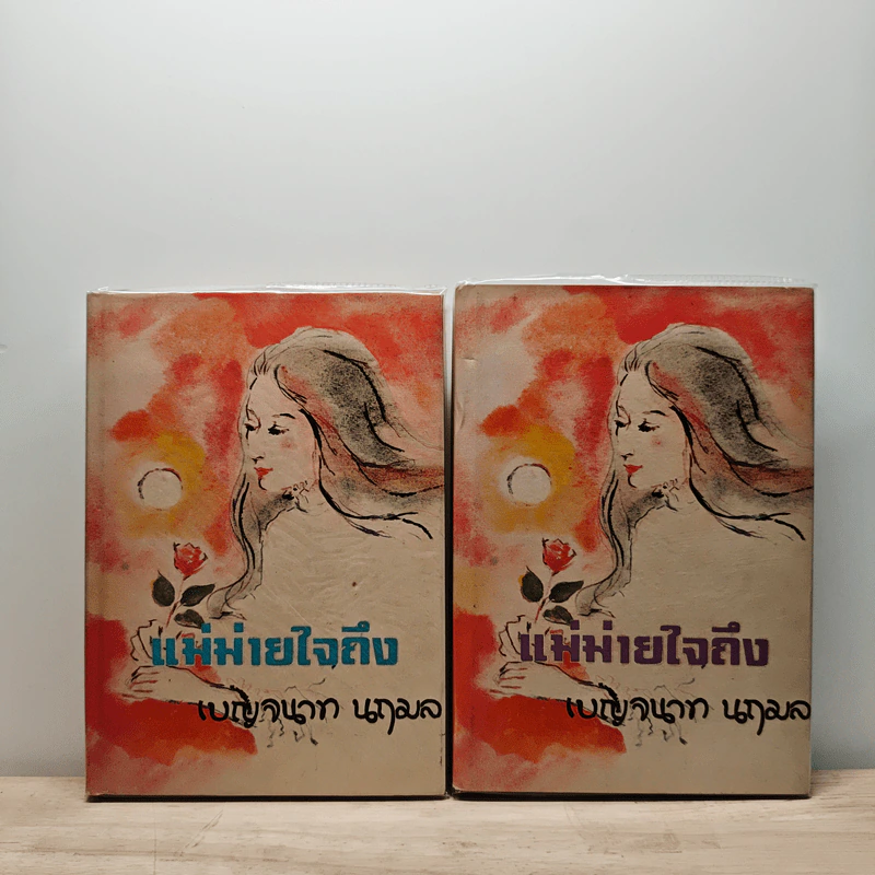 แม่ม่ายใจถึง 2 เล่มจบ - เบญจนาท นฤมล รูปที่ 1