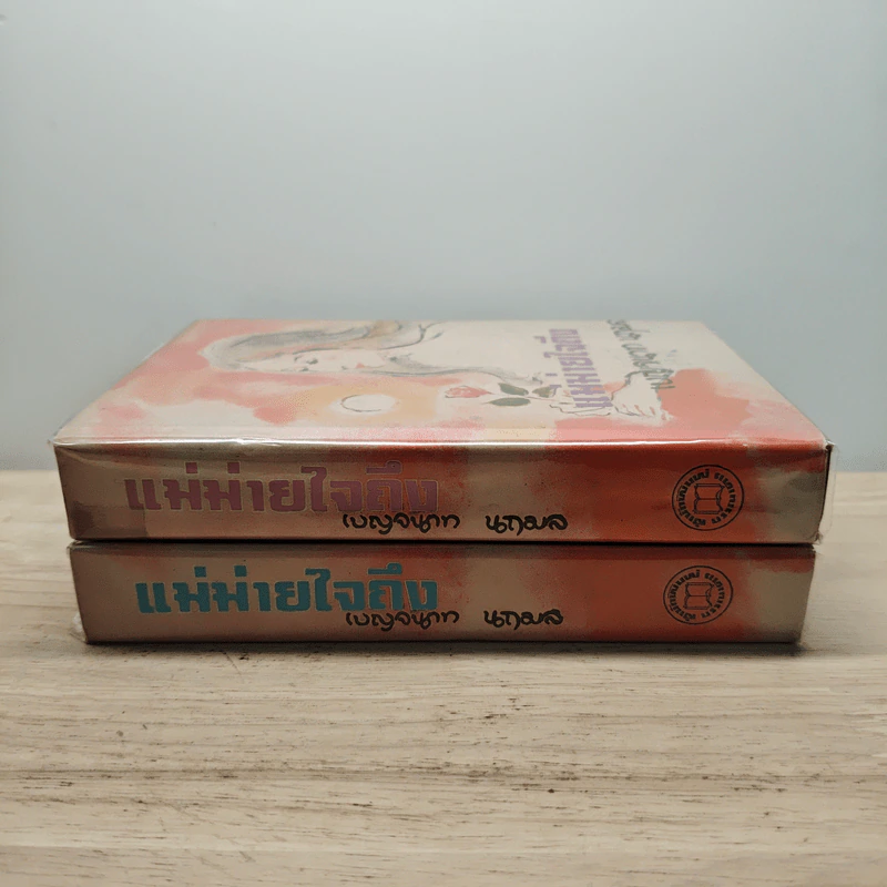 แม่ม่ายใจถึง 2 เล่มจบ - เบญจนาท นฤมล รูปที่ 3