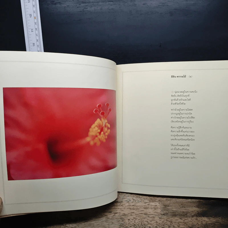 มุมมอง - เนาวรัตน์ พงษ์ไพบูลย์ รูปที่ 9