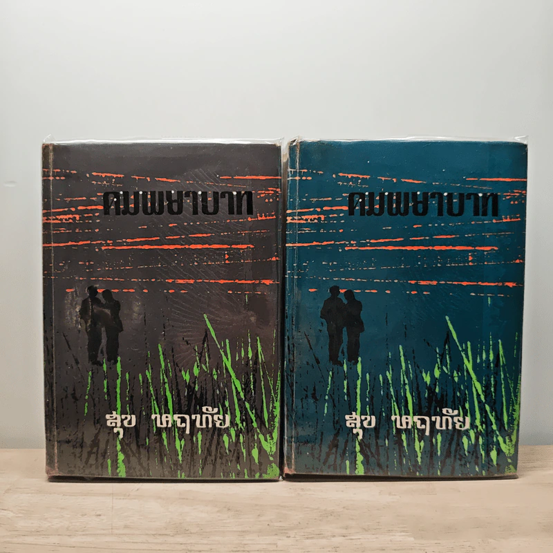 คมพยาบาท 2 เล่มจบ - สุข หฤทัย รูปที่ 1