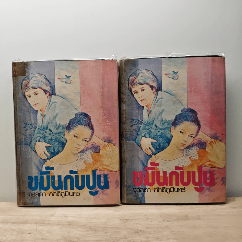ขมิ้นกับปูน 2 เล่มจบ - จุลลดา ภักดีภูมินทร์ รูปที่ 1