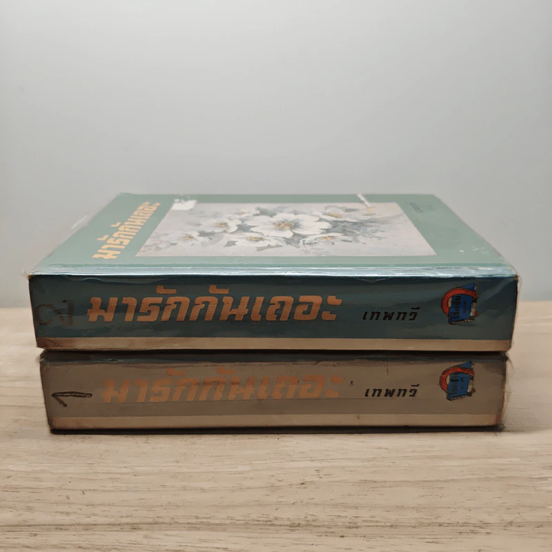 มารักกันเถอะ 2 เล่มจบ - เทพทวี รูปที่ 3