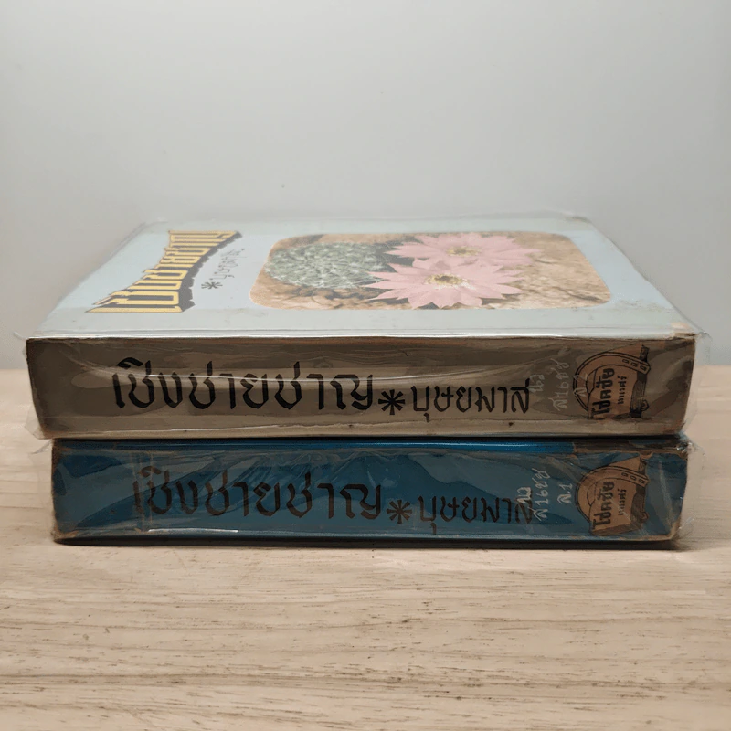 เชิงชายชาญ 2 เล่มจบ - บุษยมาส รูปที่ 3