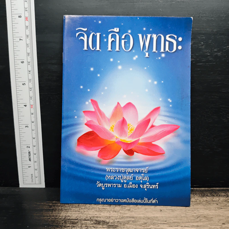 จิตคือพุทธะ - หลวงปู่ดุลย์ อตุโล รูปที่ 1