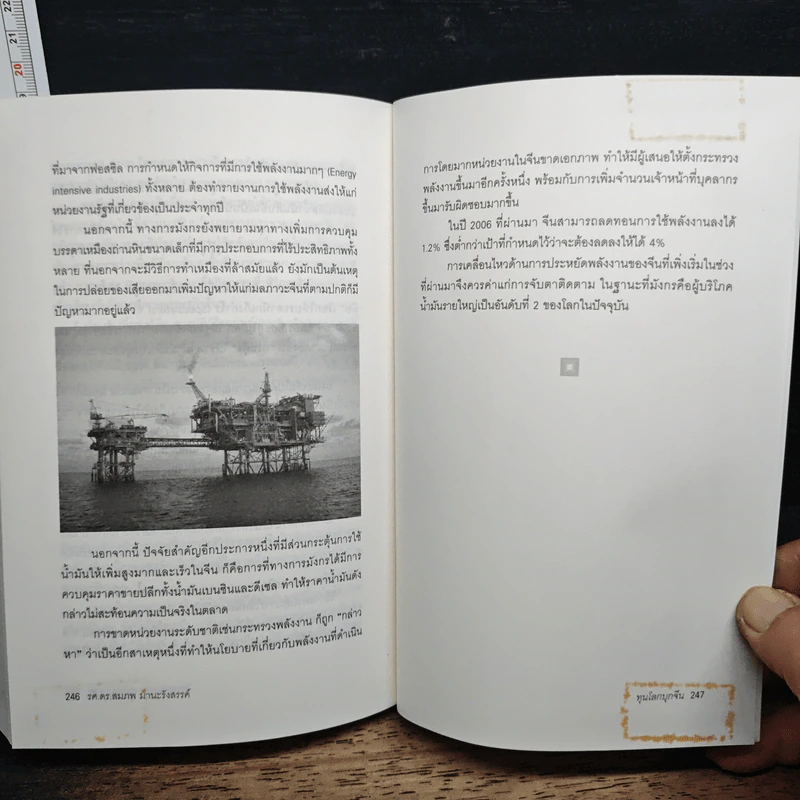 ทุนโลกบุกจีน - รศ. ดร. สมภพ มานะรังสรรค์ รูปที่ 9