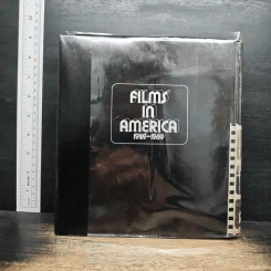 Films in America 1929-1969 รูปที่ 2