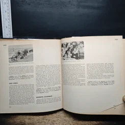 Films in America 1929-1969 รูปที่ 10