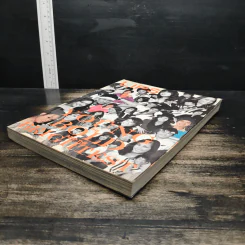 Lips 9/02 รูปที่ 4