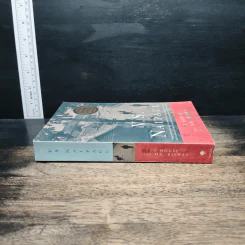 A House for Mr. Biswas - V.S. Naipaul รูปที่ 3