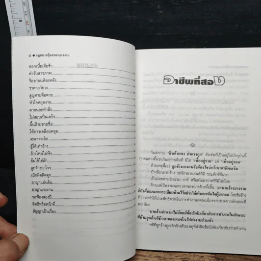 กฎหมายคุ้มครองแรงงาน เล่ม 2: ปัญหาและบทเรียนจากชีวิตจริง - เกษมสันต์ วิลาวรรณ รูปที่ 8