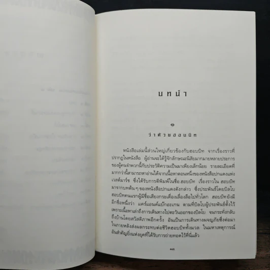 The Lord of the Rings ลอร์ดออฟเดอะริงส์ ตอน มหันตภัยแห่งแหวน - เจ.อาร์.อาร์.โทลคีน รูปที่ 8