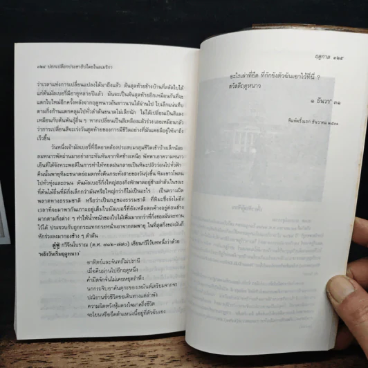 ปอกเปลือกประชาธิปไตยในอเมริกา: ตำนานเรื่องคนเราเกิดมาไม่เท่าเทียมกัน - ธเนศ อาภรณ์สุวรรณ รูปที่ 12