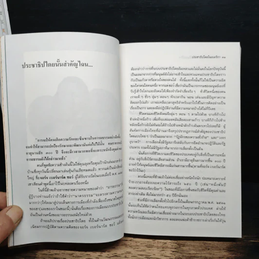 ปอกเปลือกประชาธิปไตยในอเมริกา: ตำนานเรื่องคนเราเกิดมาไม่เท่าเทียมกัน - ธเนศ อาภรณ์สุวรรณ รูปที่ 11