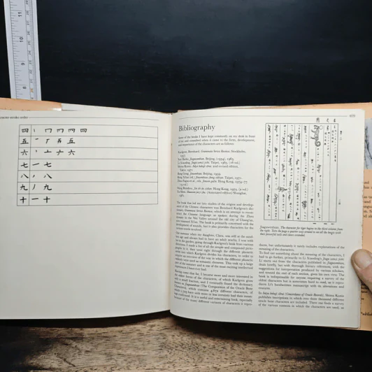 China: Empire of the Written Symbol - Cecilia Lindqvist รูปที่ 10