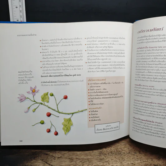 รักษาโรคด้วยวิธีธรรมชาติ - Reader's Digest รีดเดอร์สไดเจสท์ รูปที่ 13