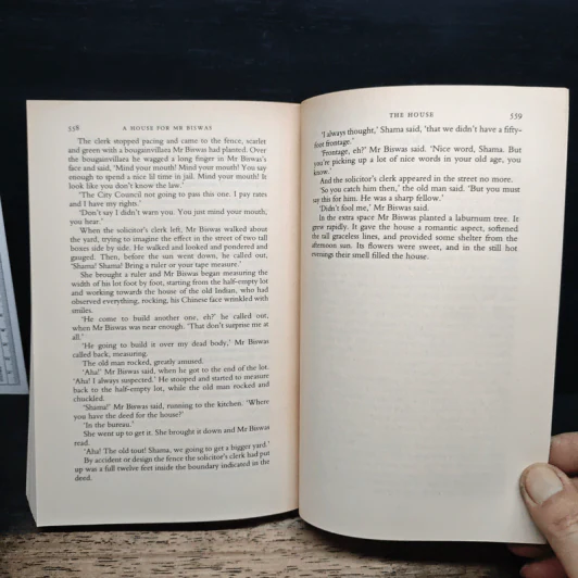 A House for Mr. Biswas - V.S. Naipaul รูปที่ 8