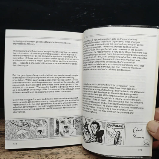 Introducing Darwin: A Graphic Guide - Jonathan Miller รูปที่ 10