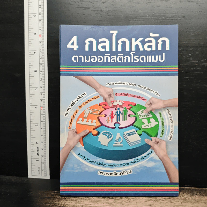 4 กลไกหลักตามออทิสติกโรดแมป รูปที่ 1