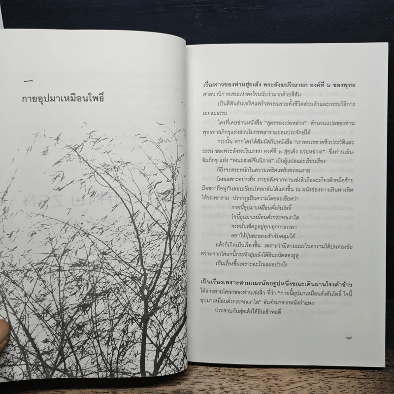 เส้นทางสาย Zen จากปรมาจารย์ตั๊กม้อ ถึง เว่ยหล่าง - เสถียร จันทิมาธร รูปที่ 8