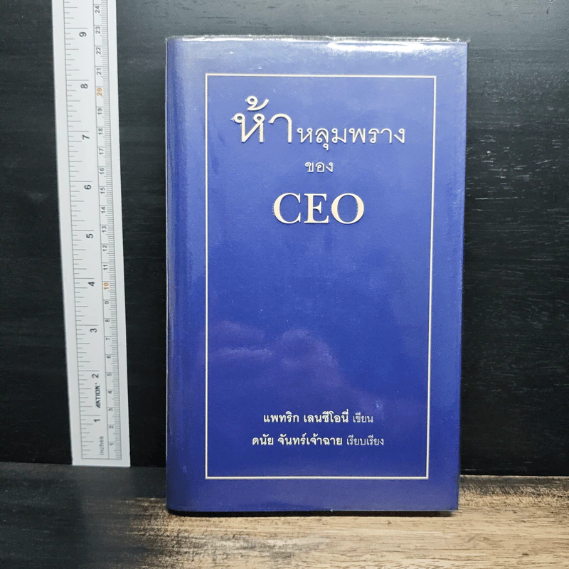 ห้าหลุมพรางของ CEO - แพทริก เลนซีโอนี่, ดนัย จันทร์เจ้าฉาย รูปที่ 1