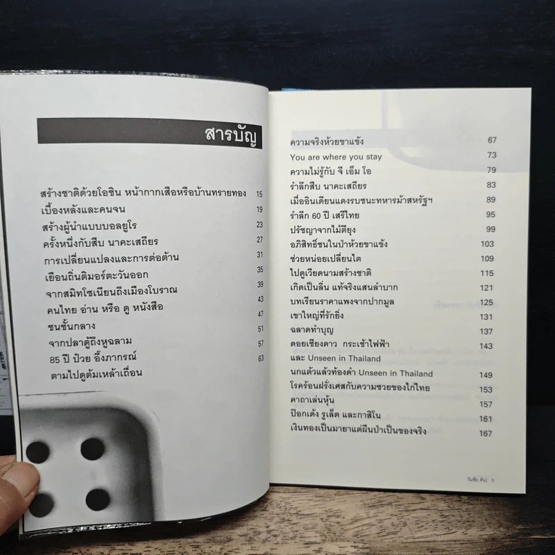 ผมซักฟอก - วันชัย ตัน รูปที่ 7