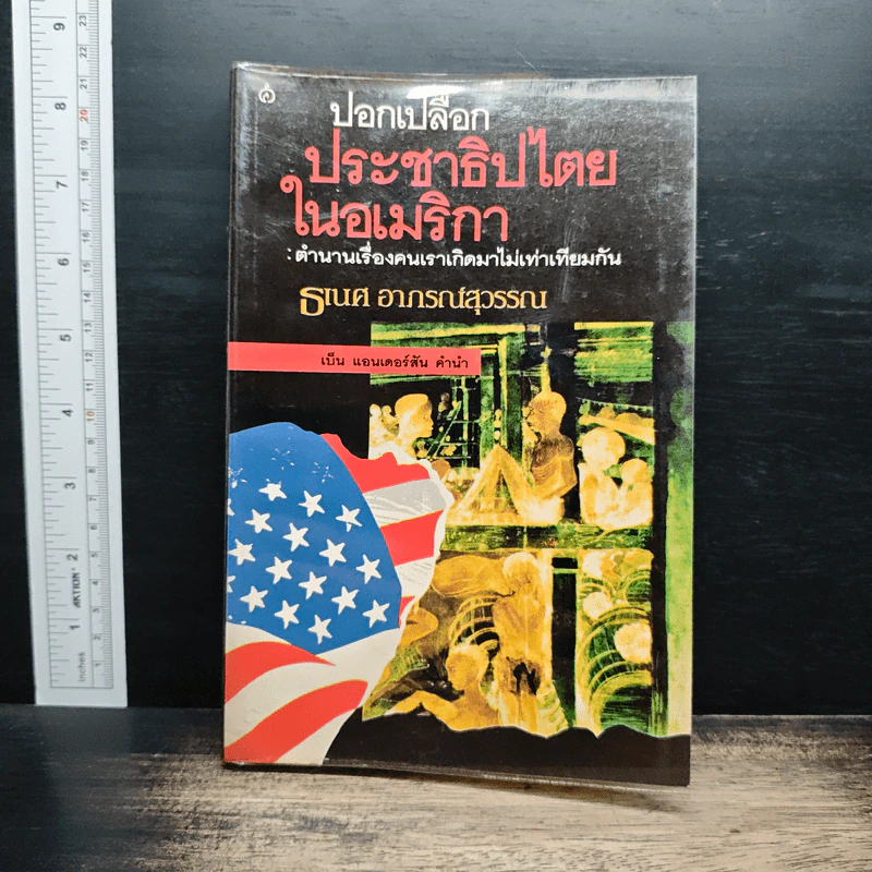ปอกเปลือกประชาธิปไตยในอเมริกา: ตำนานเรื่องคนเราเกิดมาไม่เท่าเทียมกัน - ธเนศ อาภรณ์สุวรรณ รูปที่ 1