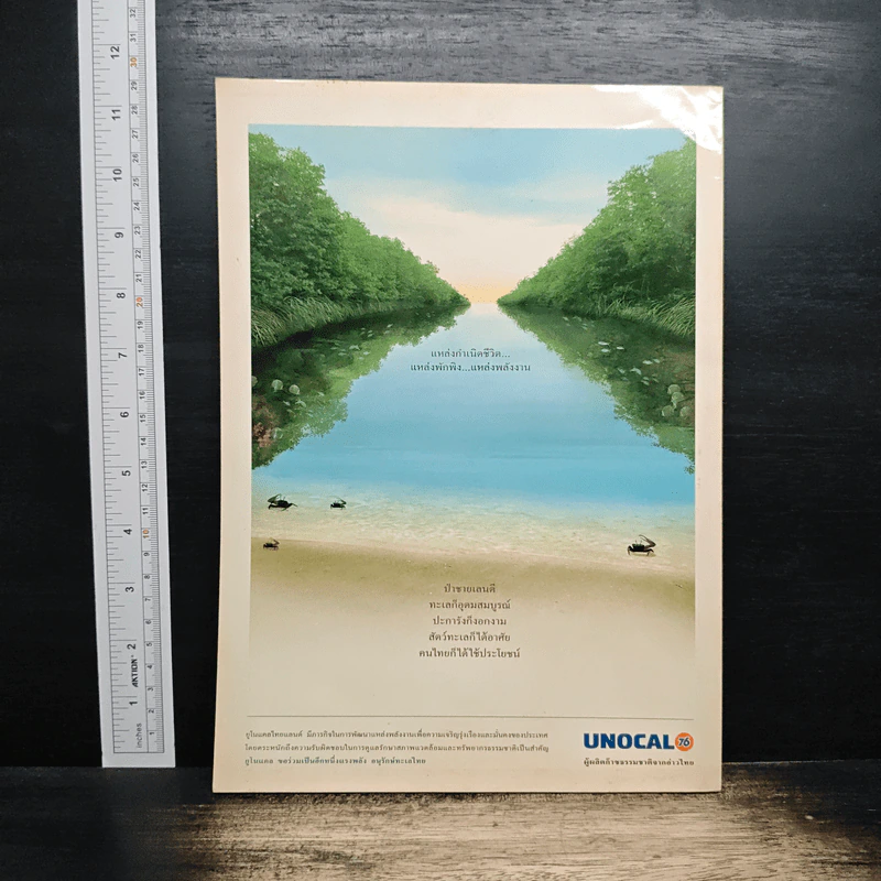 วารสารโลกสีเขียว ปีที่ 13 ฉบับที่ 6 ม.ค.-ก.พ.2548 รูปที่ 2